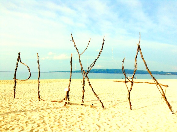 4453_Fotor