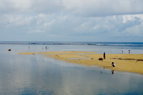DSC04197