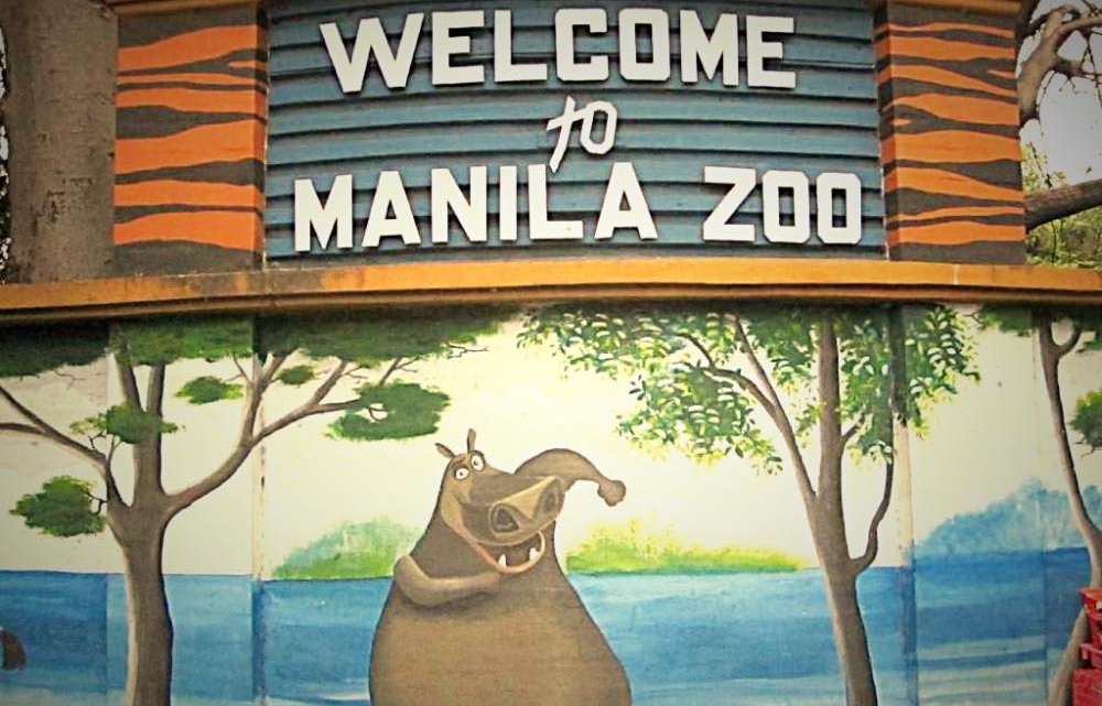 manilazoo