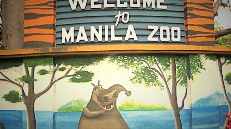 manilazoo