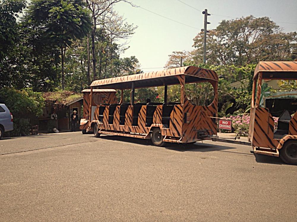 th_SUBIC tigertram_Fotor